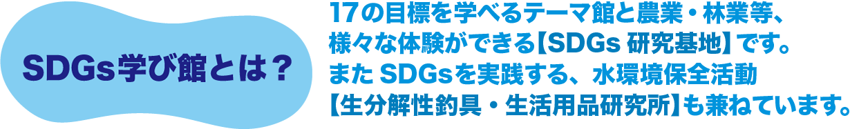 SDGs学び館とは?